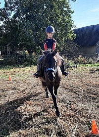 Ponyreiten