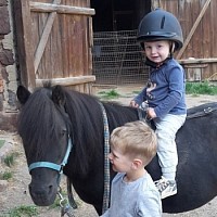 Reitpädagogik Kinder und Pony